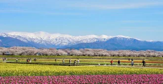 ทัวร์ญี่ปุ่น โอซาก้า โทยามะ สวนอาซาฮิ ฟุนากาว่า หมู่บ้านชิราคาวาโกะ