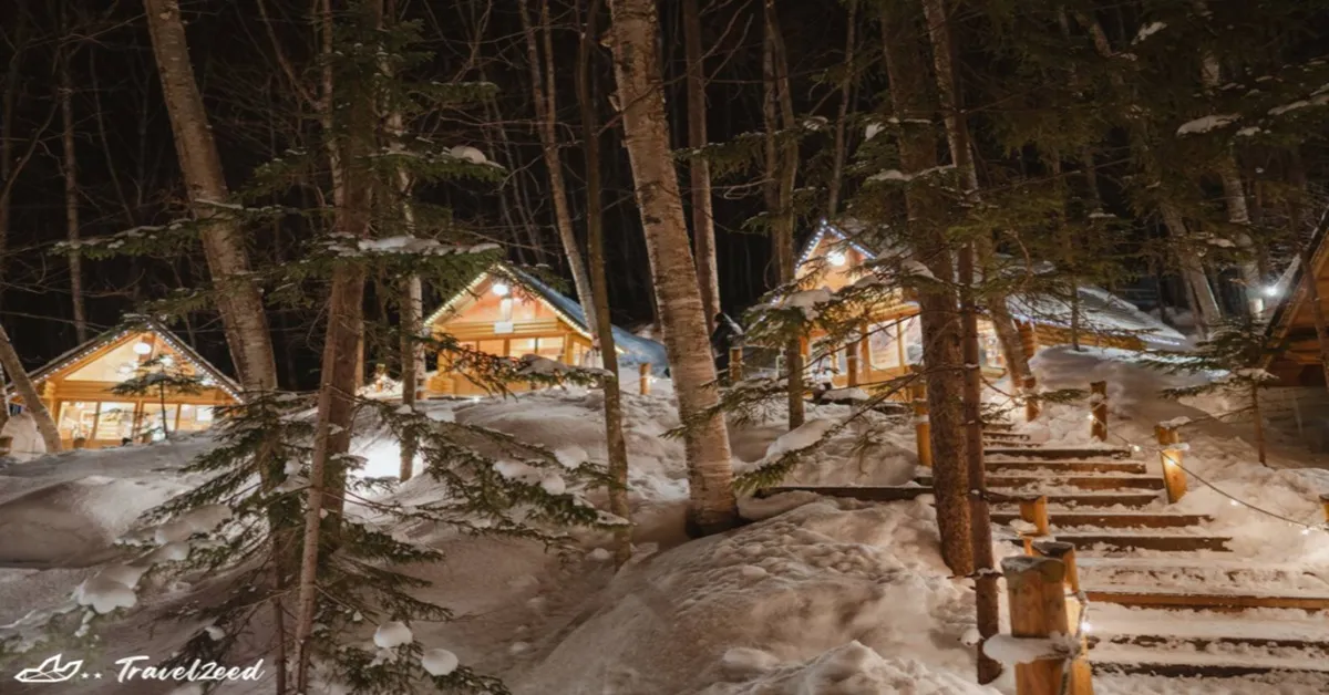  ทัวร์ญี่ปุ่น ฮอกไกโด อาซาฮิยาม่า นิงเกิ้ลเทอเรส สวนสัตว์อาซาฮิยาม่า ศาลเจ้าฮอกไกโด (อิสระ 2 วัน)