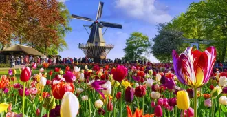Europe France Belgium Netherlands Germany Luxembourg Keukenhof Garden - ทัวร์ยุโรป ฝรั่งเศส เบลเยียม เนเธอร์แลนด์ เยอรมนี ลักเซมเบิร์ก สวนเคอเคนฮอฟ 