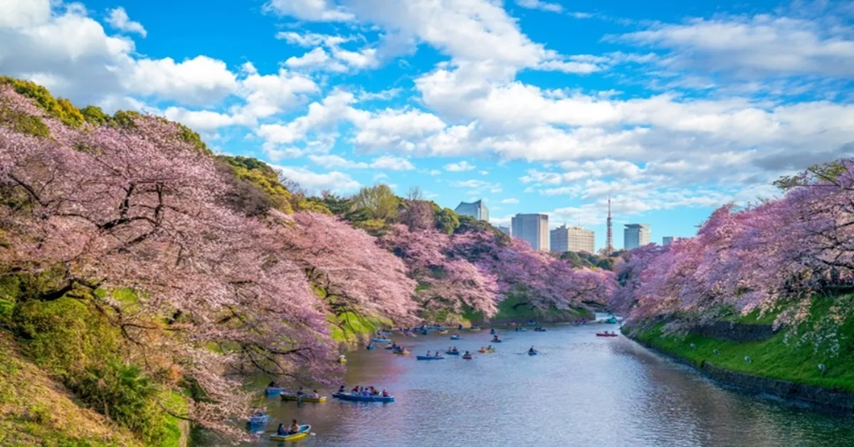 ทัวร์ญี่ปุ่น โตเกียว สวนอูเอโนะ ซากุระ Shinnasho River ตลาดปลาโทโยสุ หมู่บ้านน้ำใส 