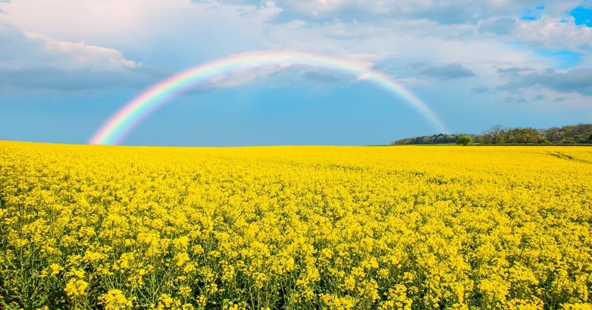 ทัวร์อินดีย แคชเมียร์ กุลมาร์ค พาฮาลแกม สวนโมกุล ล่องเรือพายโบราณชิคาร่า 