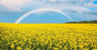 ทัวร์อินดีย แคชเมียร์ กุลมาร์ค พาฮาลแกม สวนโมกุล ล่องเรือพายโบราณชิคาร่า 