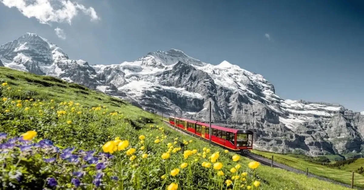 Europe Germany Switzerland France Jungfraujoch - ทัวร์ยุโรป เยอรมนี สวิตเซอร์แลนด์ ฝรั่งเศส ขึ้นเขาจุงเฟรา  พระราชวังแวร์ซายส์