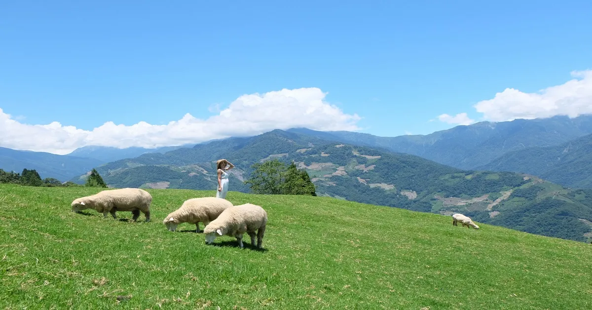 ทัวร์ไต้หวัน บินตรงไถจง หนานโถว ไทเป ฟาร์มแกะชิงจิ้ง ทะเลสาบสุริยันจันทรา (ลงร้าน)