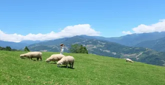 ทัวร์ไต้หวัน บินตรงไถจง หนานโถว ไทเป ฟาร์มแกะชิงจิ้ง ทะเลสาบสุริยันจันทรา (ลงร้าน)