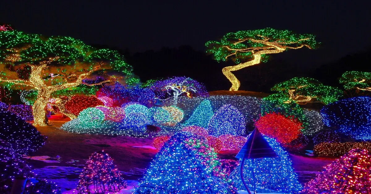 ทัวร์เกาหลี กรุงโซล เกาะนามิ เก็บสตรอเบอร์รี่ ชมไฟประดับท่ามกลางหิมะ 