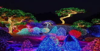 ทัวร์เกาหลี กรุงโซล เกาะนามิ เก็บสตรอเบอร์รี่ ชมไฟประดับท่ามกลางหิมะ 