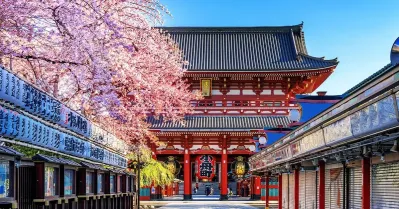 รูปภาพทัวร์