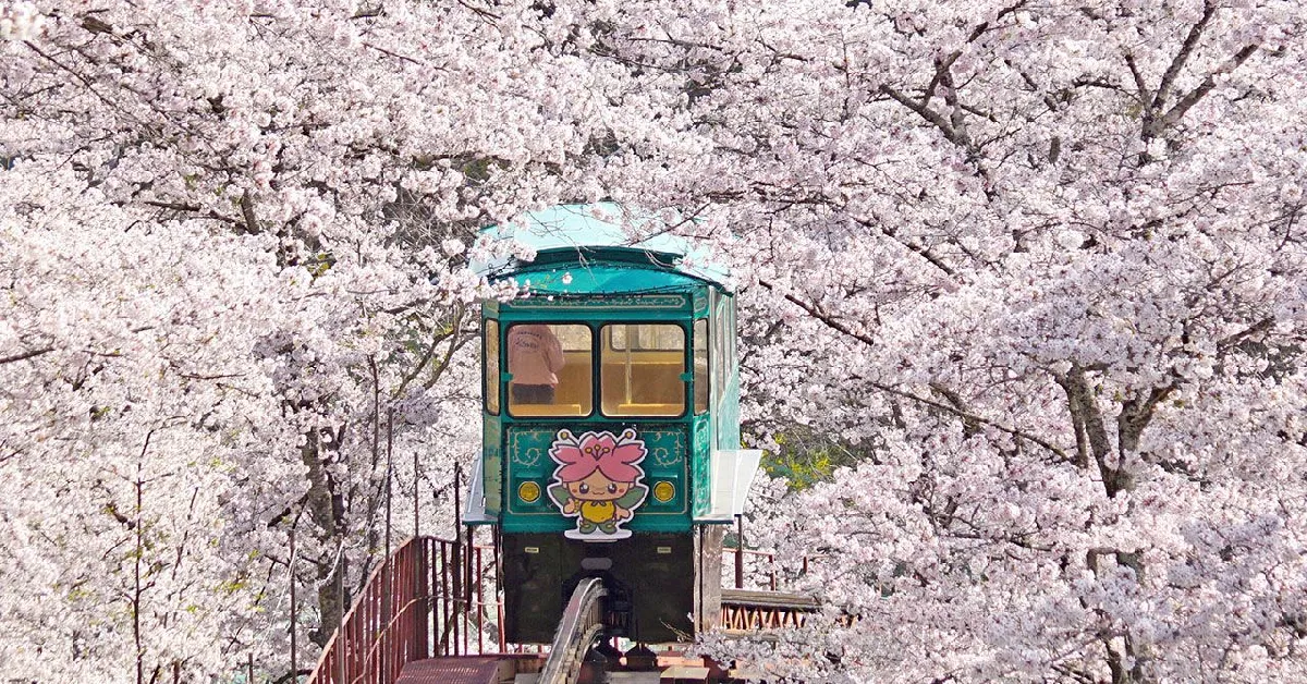 ทัวร์ญี่ปุ่น โตเกียว นิกโก้ เซนได ชมซากุระสวนฟุนาโอกะ (อิสระ 1 วัน)