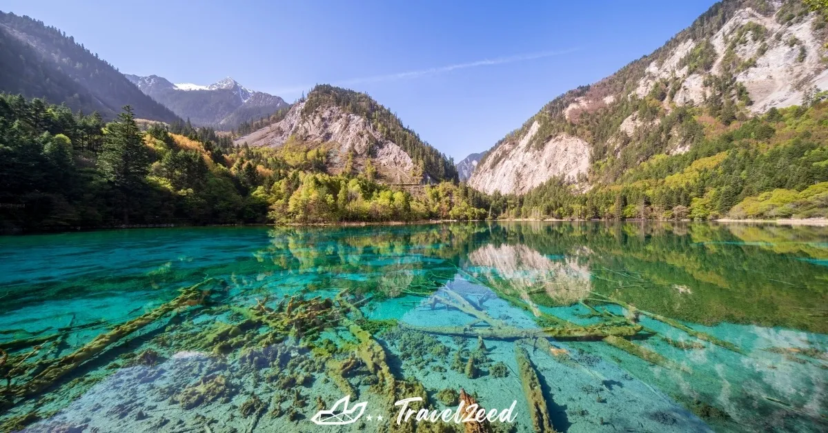 ทัวร์จีน เฉิงตู จิ่วจ้ายโกว ถนนคนเดินชุนชีลู่ เมืองโบราณซง แพนด้ายักษ์ปีนตึก IFS อุทยานแห่งชาติจิ่วจ้ายโกว