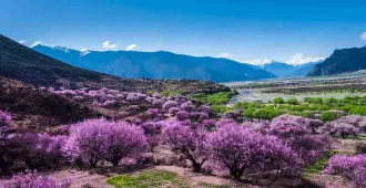 ทัวร์จีน ซินเจียง อูลู่มู่ฉี อี้หนิง หุบเขาดอกท้อ ทะเลสาบไซลี่มู่ (ไม่ลงร้าน)