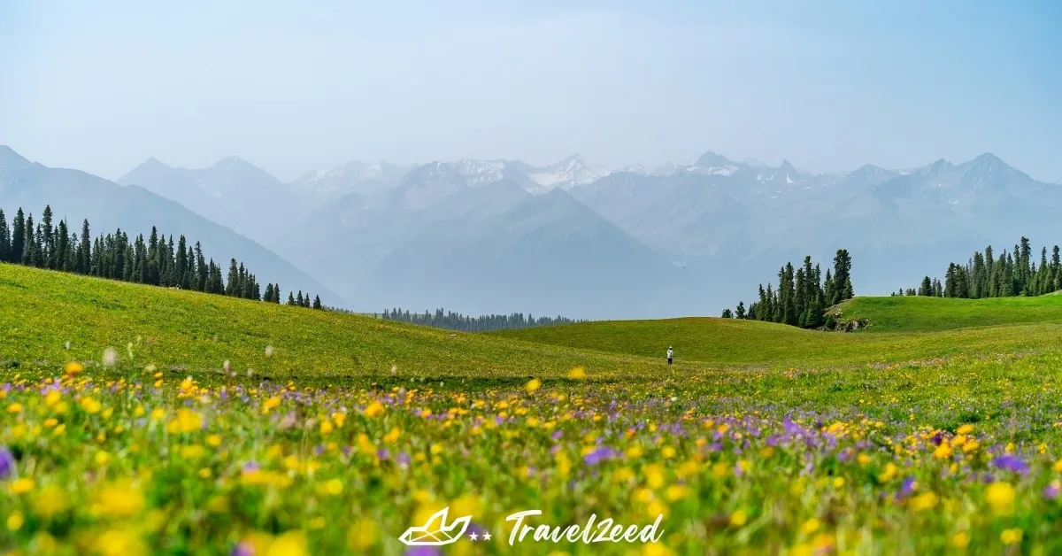 ทัวร์จีน ซินเจียงเหนือ อูลู่มู่ฉี อี้หนิง ทะเลสาบเทียนฉือ แกรนด์แคนยอนตู๋ซานจื่อ อุทยานทะเลดอกไม้เทียนซาน (ไม่ลงร้าน)