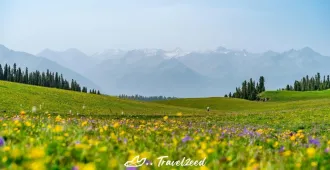 ทัวร์จีน ซินเจียงเหนือ อูลู่มู่ฉี อี้หนิง ทะเลสาบเทียนฉือ แกรนด์แคนยอนตู๋ซานจื่อ อุทยานทะเลดอกไม้เทียนซาน (ไม่ลงร้าน)