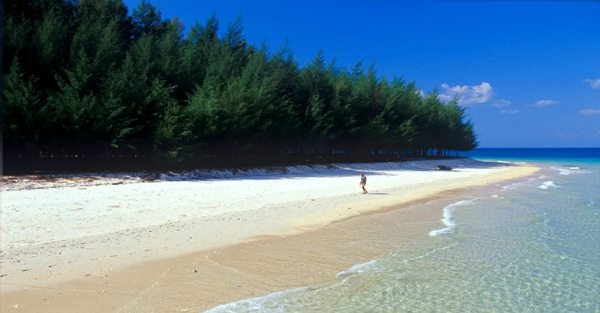 ทัวร์ไทย ตรัง สตูล ชมเขาจมป่า  หมู่เกาะบุโหลน 