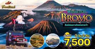 Wonderful Bromo  - แพ็คเกจทัวร์ส่วนตัวโบรโม่
