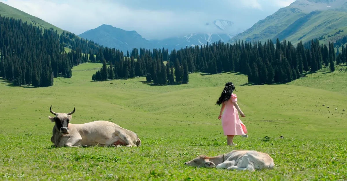 ทัวร์จีน อุรุมชี คานาสือ ทะเลสาบเทียนฉือ แกรนด์แคนยอนตู้ซานจื่อ