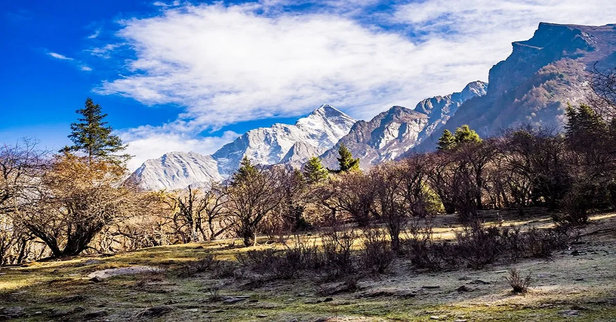 ทัวร์จีน เฉิงตู อุทยานสี่ดรุณี ห้าง SKP (ไม่ลงร้าน)
