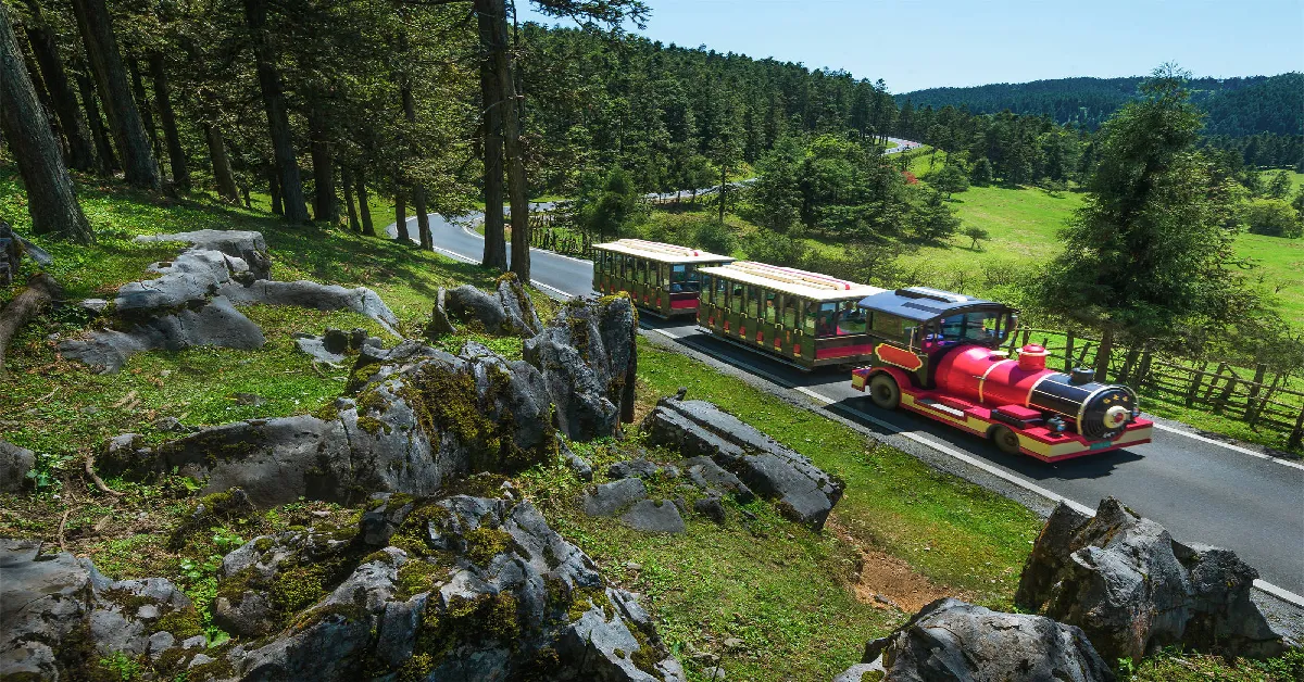 ทัวร์จีน ฉงชิ่ง อี๋ชาง อู่หลง อุทยานหลุมฟ้า เขานางฟ้า รถไฟทะลุตึก (ไม่ลงร้าน)