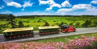 ทัวร์จีน ฉงชิ่ง อู่หลง อุทยานเขานางฟ้า  อุทยานหลุมฟ้า (ไม่ลงร้าน)