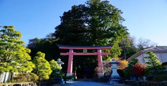 ทัวร์ญี่ปุ่น ซุปตาร์ โตเกียว ฟูจิ ชมทุ่งลาเวนเดอร์โออิชิพาร์ค เช็คอินเกาะเอโนชิมะ (วันอิสระ 1 วัน + แช่ออนเซ็น 1 คืน)