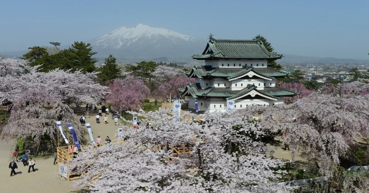 ทัวร์ญี่ปุ่น เรียล เรียล เซนได นั่งรถไฟชินคันเซน ชมฤดูกาลแห่งซากุระ ปราสาทฮิโรซากิ