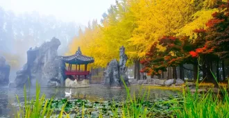 ทัวร์เกาหลี โซล สกีรีสอร์ท เกาะนามิ เอเวอร์แลนด์ (บินตรงเชียงใหม่)