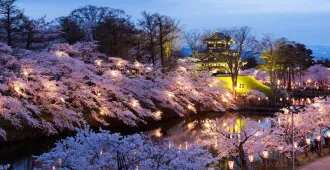 ทัวร์เกาหลี โซล เทศกาลดอกพ็อดกดซอรัคซาน สวนสนุกเอเวอร์แลนด์