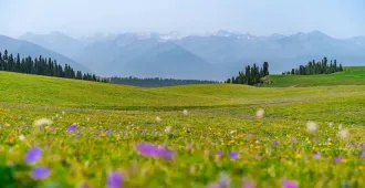 ทัวร์จีน ซินเจียงเหนือ ทุ่งหญ้านาราถี ทะเลสาบไซ่หลี่มู่ (ไม่ลงร้าน) 