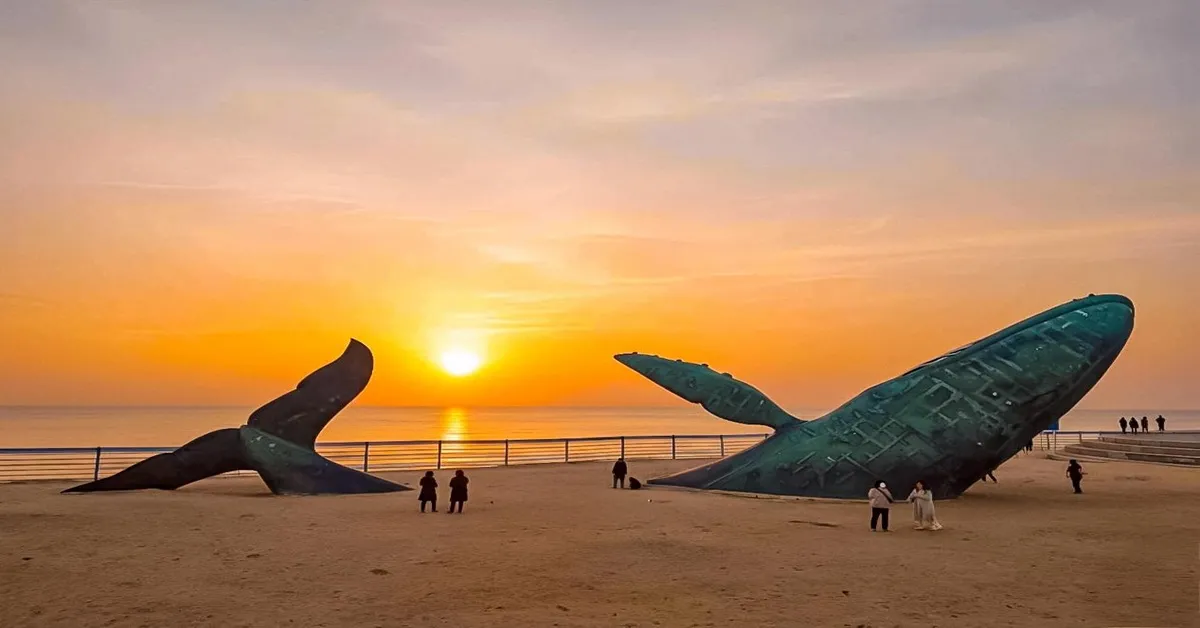 ทัวร์จีน ชิงเต่า เยียนไถ เวยไห่ เซี่ยงไฮ้ ชมประติมากรรมวาฬเกยตื้นและชิมเบียร์ชิงเต่า (ไม่ลงร้าน) 