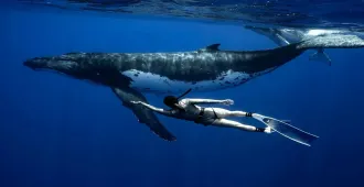 Oceania Micronesia Melanesia Polynesia Snorkeling with Whales - ทัวร์โอเชียเนีย ไมโครนีเซีย เมลานีเซีย โพลินีเซีย  คิริบาติ ตองกานาอูรู น้ำตกKepirohi waterfall ว่ายน้ำกับฝูงปลาวาฬ 