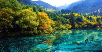 ทัวร์จีน เฉิงตู ปี้เผิงโกว จิ่วจ้ายโกว ทะเลสายเตี๋ยซี (ไม่ลงร้าน)