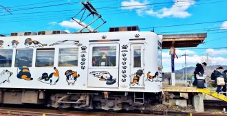 ทัวร์ญี่ปุ่นซุปตาร์ โอซาก้า เกียวโต คันไซ วัดคิโยมิสึเดระ นั่งรถไฟสู่สถานีแมว  (อิสระ 1 วัน)