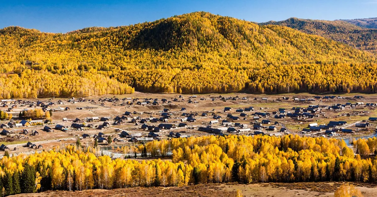 ทัวร์จีน ซินเจียงเหนือ อุทยานคานาสือ ทะเลทรายกู่เอ่อปั้นทงกู่เอ่อ หมู่บ้านเหอมู่ชุน (ไม่ลงร้าน)