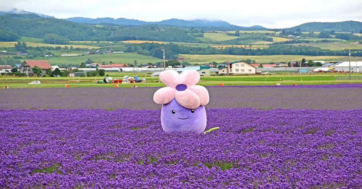 ทัวร์ญี่ปุ่น ฮอกไกโด ชมลาเวนเดอร์โทมิตะฟาร์ม (อิสระ 2 วัน)