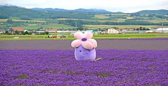 ทัวร์ญี่ปุ่น ฮอกไกโด ชมลาเวนเดอร์โทมิตะฟาร์ม (อิสระ 2 วัน)