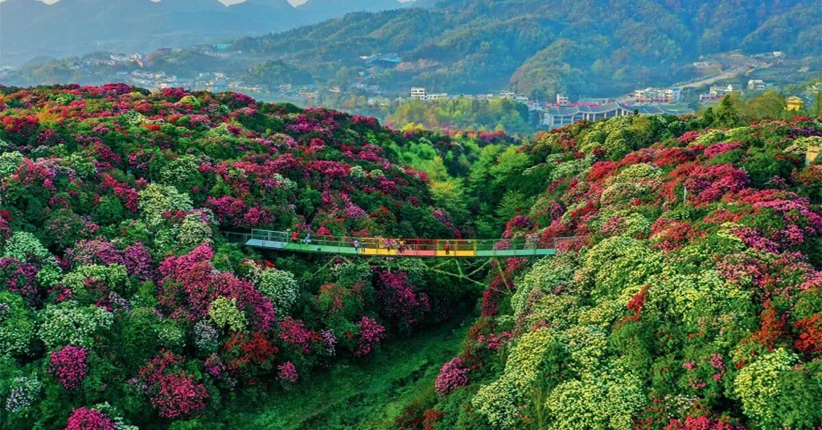 ทัวร์จีน ทัวร์คุณธรรม กุ้ยโจว อันซุ่น น้ำตกหวงกั๋วซู่ สวนกุหลาบพันปีร้อยลี้ (ไม่ลงร้าน)