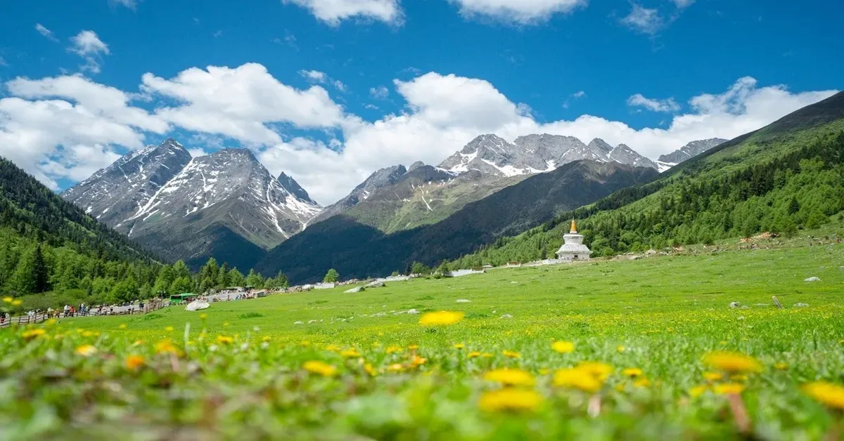 ทัวร์จีน เฉิงตู ตูเจียงเยี่ยน เขาสี่ดรุณี ปี้เผิงโกว หมู่บ้านทิเบต สะพานหนานเฉียว (ไม่ลงร้าน + พักหมู่บ้านทิเบต )