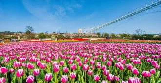 ทัวร์จีน ฉงชิ่ง เฉิงตู อู่หลง สวนม่านฮวา อุทยานสี่ดรุณี (ไม่ลงร้าน)