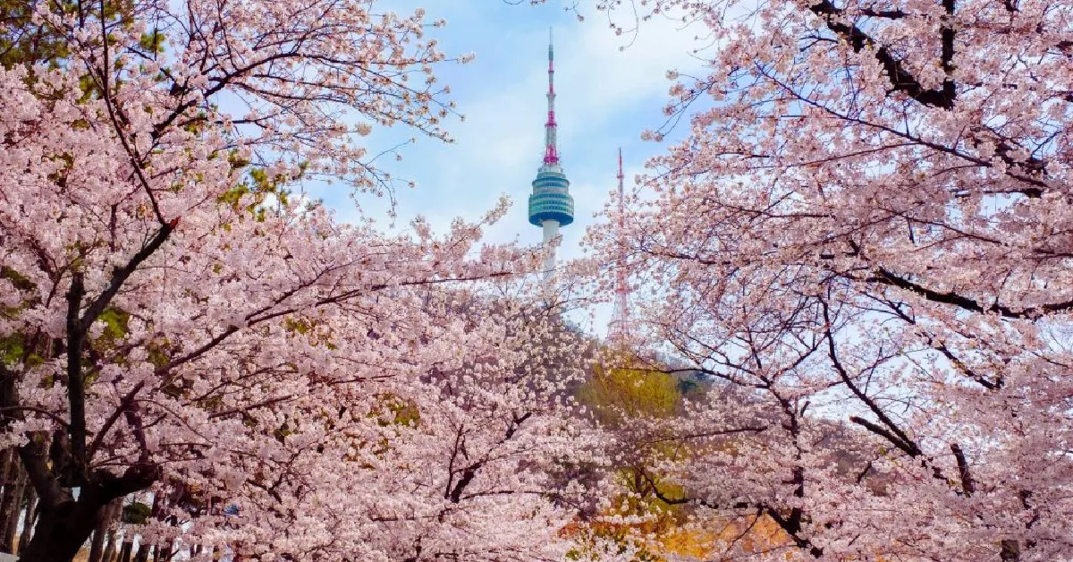 ทัวร์เกาหลี โซล เอเวอร์แลนด์ ชมพ็อดกต