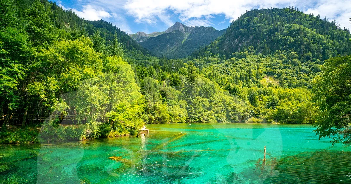 ทัวร์จีน มหัศจรรย์ เฉิงตู อุทยานจิ่วจ้ายโกว ภูเขาสี่ดรุณี (ไม่ลงร้าน)