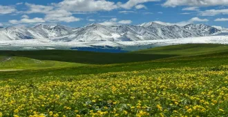 ทัวร์จีน ซินเจียงเหนือ กลาง อุทยานมรดกโลกและทุ่งหญ้าลอยฟ้า (ไม่ลงร้าน)