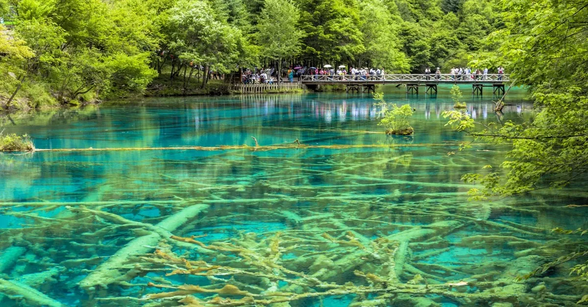 ทัวร์จีน เฉิงตู จิ่วจ้ายโกว อุทยานจิ่วจ้ายโกว หวงหลง นั่งรถไฟความเร็วสูง (ไม่ลงร้าน)