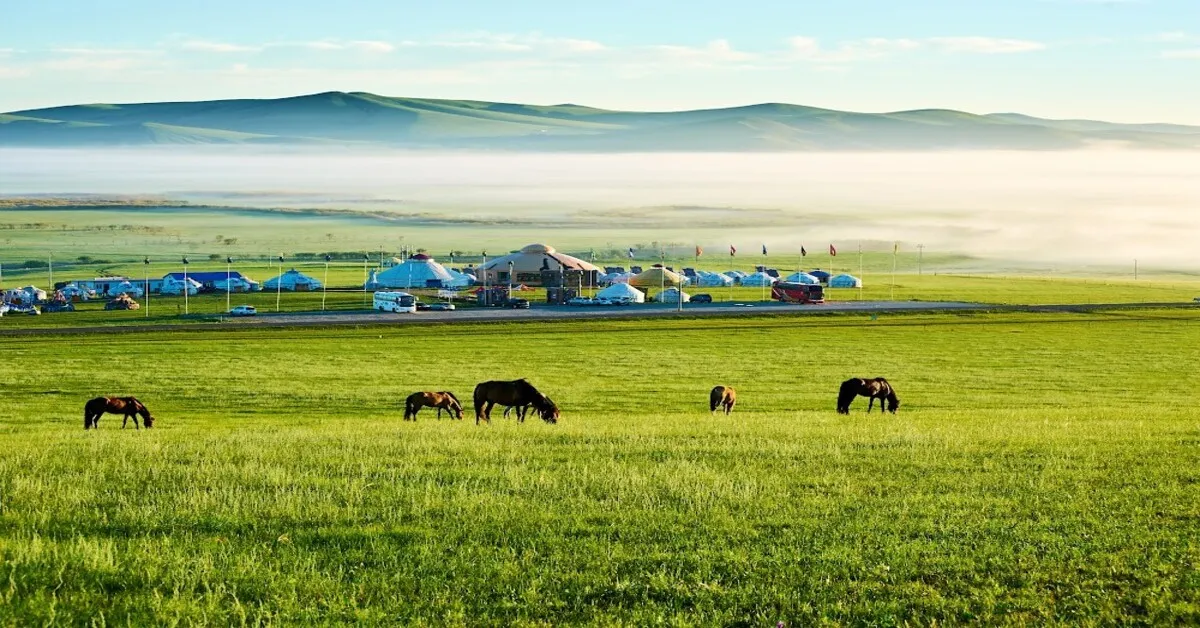 ทัวร์จีน มองโกเลียใน ออดอสร์ หุบเขาแม่น้ำหวงเหอ ทะเลทรายเสียงซาหวั่น