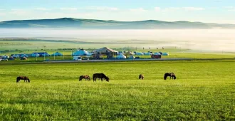 ทัวร์จีน มองโกเลียใน ออดอสร์ หุบเขาแม่น้ำหวงเหอ ทะเลทรายเสียงซาหวั่น