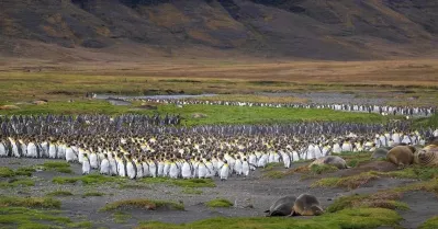 รูปภาพทัวร์