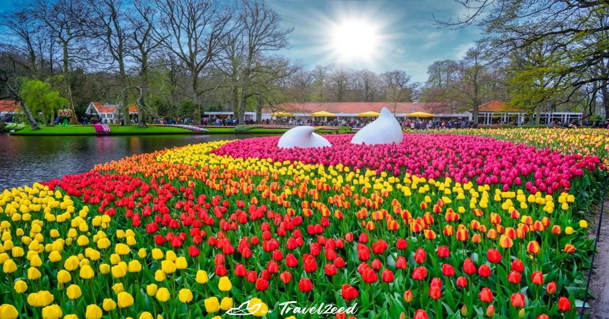 Europe Netherlands Belgium France Cologne Amsterdam Keukenhof Garden - ทัวร์ยุโรป เนเธอร์แลนด์ เบลเยี่ยม ฝรั่งเศส โคโลญจน์ อัมสเตอร์ดัม สวนเคอเคนฮอฟ
