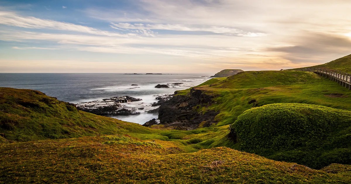 ทัวร์ออสเตรเลีย เมลเบิร์น ซิดนีย์ บริสเบน เกาะฟิลลิป อุทยานแห่งชาติบลูเม้าท์เท่นส์