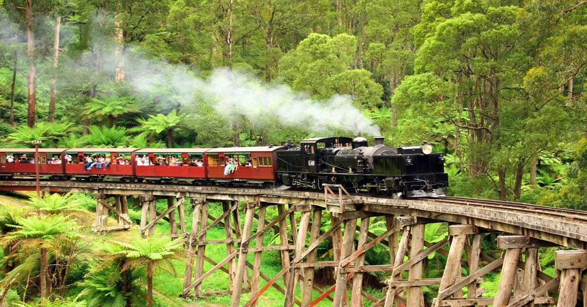 ทัวร์โอเชียเนีย ออสเตรเลีย ซิดนีย์ เมลเบิร์น สวนสัตว์โคอาล่า นั่งรถไฟจักรไอน้ำโบราณ ชมนกเพนกวิน