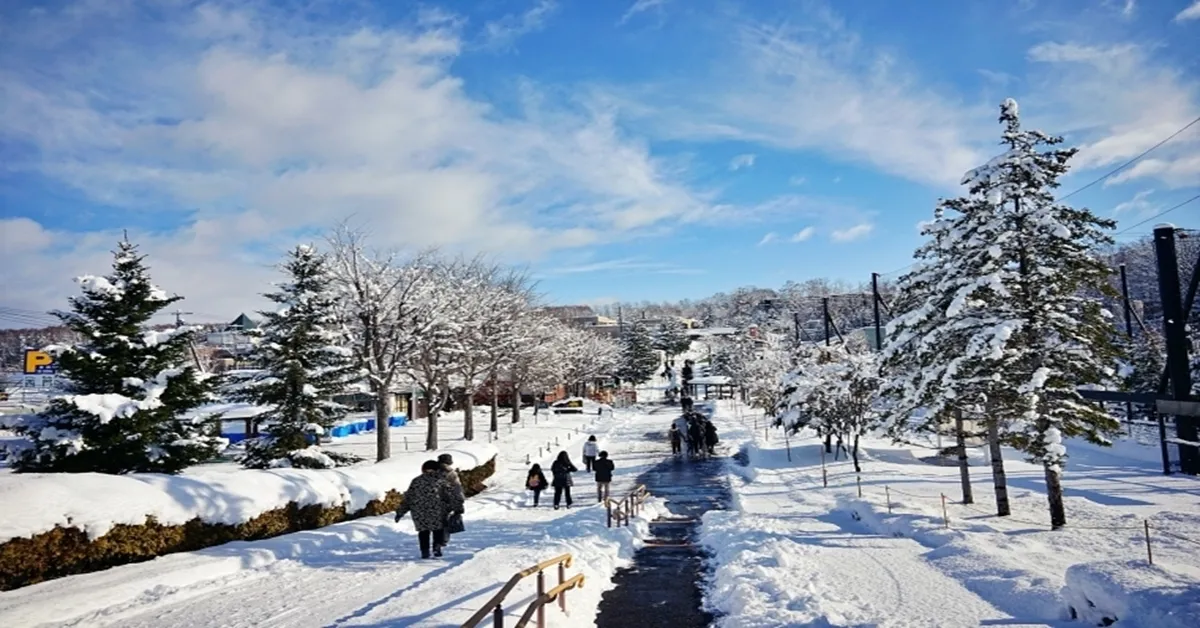 ทัวร์ญี่ปุ่น ซัปโปโร ฟุราโนะ อาซาฮิกาว่า นั่งกระเช้าไฟฟ้าอาซาฮิดาเกะ สวนสัตว์อาซาฮิยาม่า พักออนเซ็น