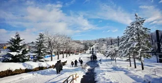 ทัวร์ญี่ปุ่น ซัปโปโร ฟุราโนะ อาซาฮิกาว่า นั่งกระเช้าไฟฟ้าอาซาฮิดาเกะ สวนสัตว์อาซาฮิยาม่า พักออนเซ็น